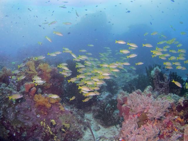 Nomad Divers Bangka Likupang Exteriér fotografie